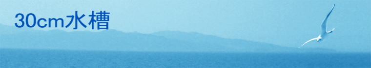 30cm����