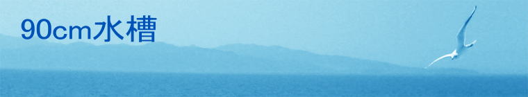 90cm����